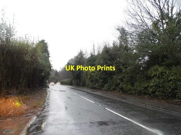 Photo 6"x4" Hindhead Road Haslemere c2015