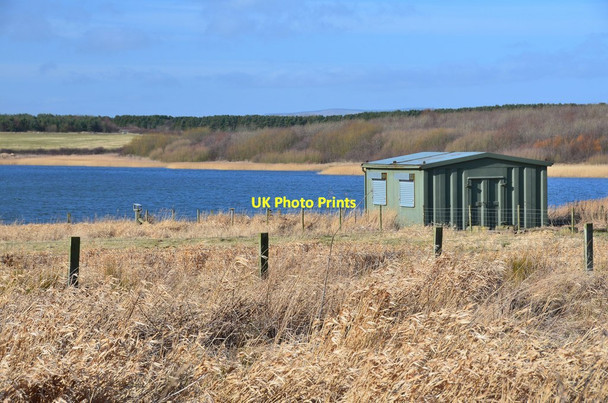 Photo 6"x4" Bird hide, East Chevington Hadston c2015 P1
