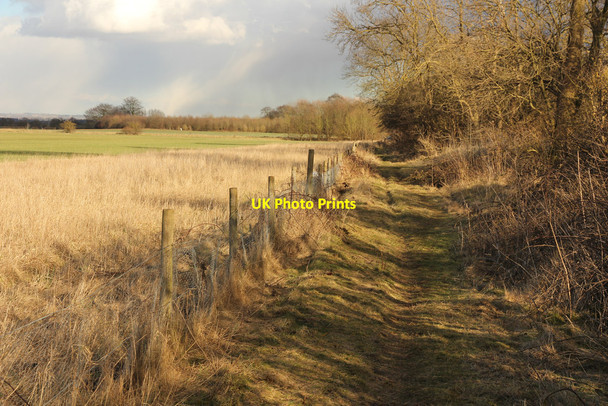 Photo 6"x4" Dunholme bridleway Nettleham c2015