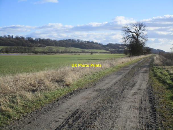 Photo 6"x4" Farm track, Alkborough Flats Alkborough c2015