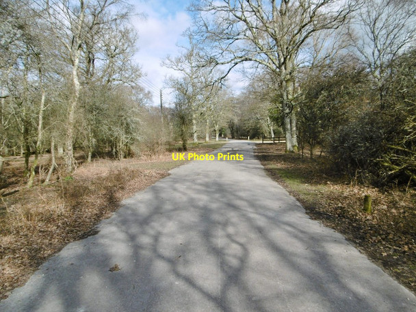 Photo 6"x4" Hollands Wood, cycle route Balmerlawn c2015
