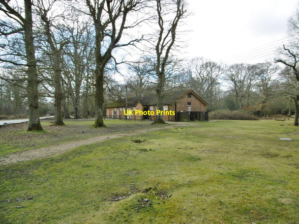 Photo 6"x4" Hollands Wood, toilet block Balmerlawn c2015