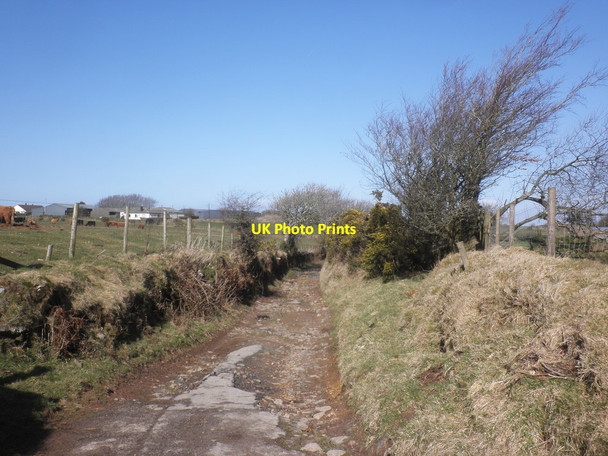 Photo 6"x4" Tarka trail approaches Cheriton Cheriton\/SS7346 c2015