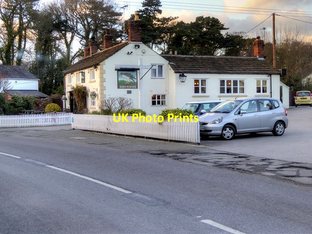 Photo 6"x4" Bird in Hand Public House Knolls Green c2015