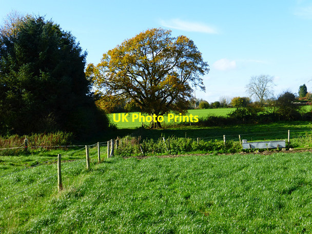 Photo 6"x4" Farmland, Grafton East Grafton c2014