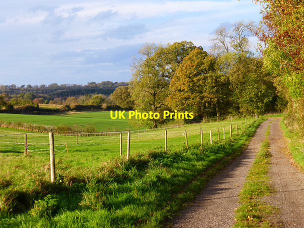 Photo 6"x4" Track and farmland, Burbage Stibb Green c2014