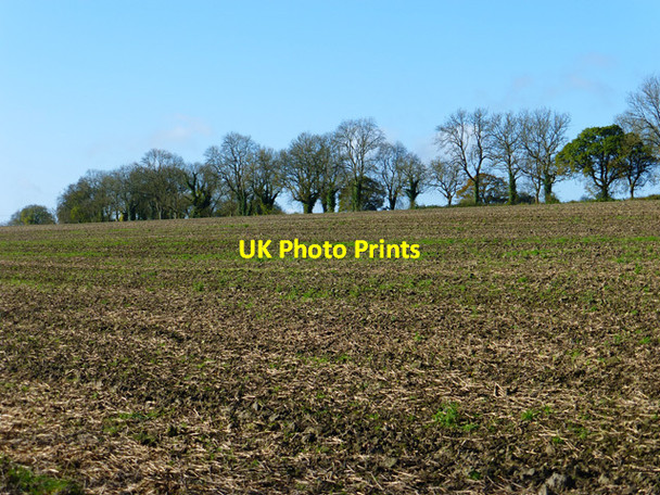 Photo 6"x4" Farmland, Grafton Wilton\/SU2661 c2014