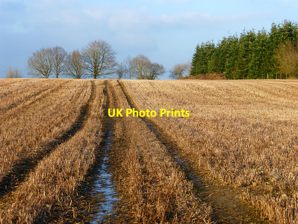 Photo 6"x4" Farmland, Pamber Little London\/SU6259 c2015