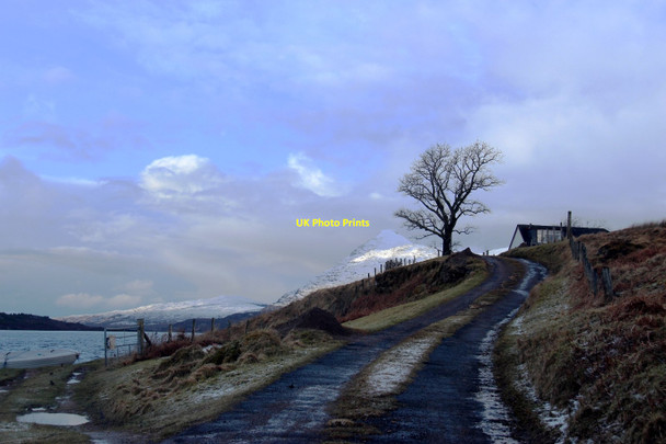 Photo 6"x4" House with a view above Loch Assynt Inchnadamph c2015