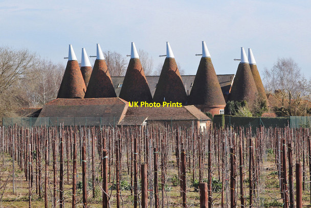 Photo 6"x4" Crowhurst Oast, Bells Farm Road, East Peckham Goose Green\/TQ6450 c2015