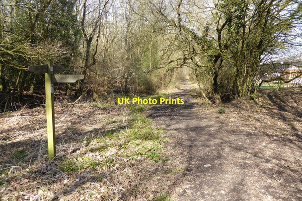 Photo 6"x4" Looking along restricted byway from footpath junction Chineham c2015