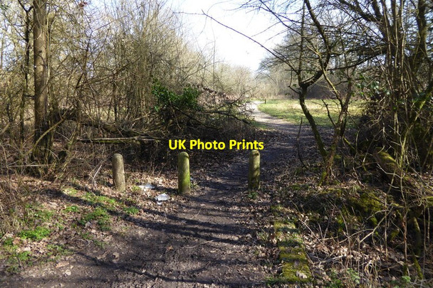 Photo 6"x4" Path to the east from byway Chineham c2015