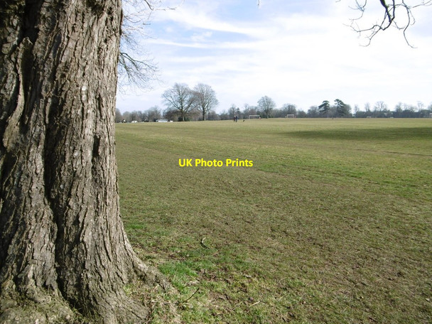 Photo 6"x4" Durdham Down Stoke Bishop c2015