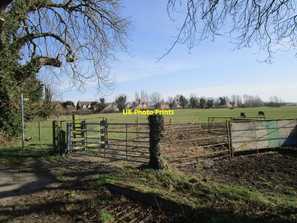 Photo 6"x4" Footpath and pens, South Kyme South Kyme c2015