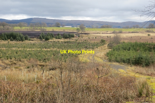 Photo 6"x4" Lochwood Moss Raehills c2015