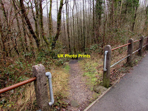 Photo 6"x4" Path down to the valley of the Afon Afan, Cymmer Croeserw c2015