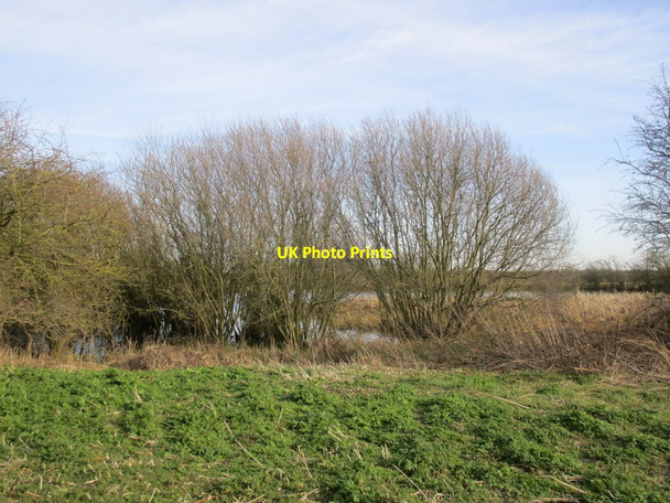 Photo 6"x4" A glimpse of a borrow pit Ewerby Thorpe c2015