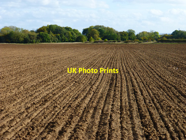 Photo 6"x4" Farmland, Cumnor Bessels Leigh c2014