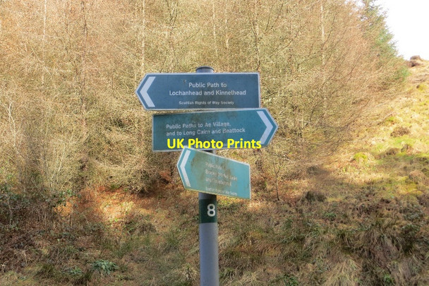 Photo 6"x4" Signpost, Forest of Ae Branrigg c2015