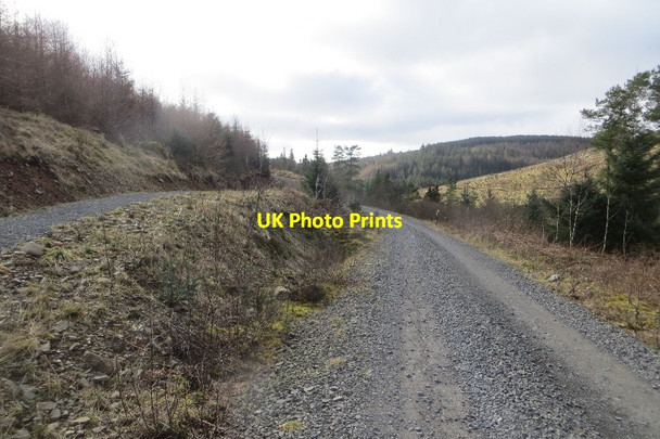 Photo 6"x4" Road, Forest of Ae Holehouse\/NX9994 c2015