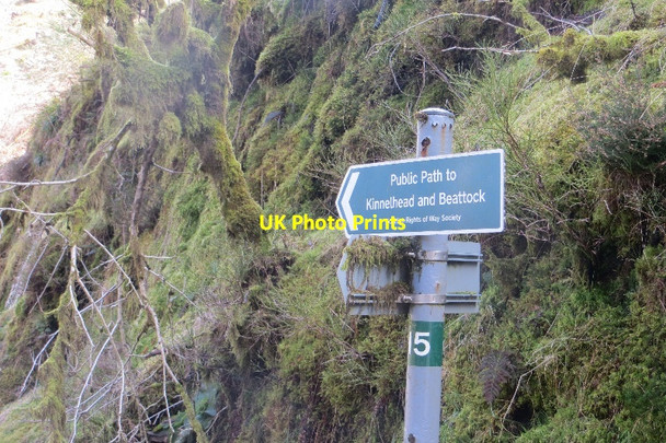Photo 6"x4" Signpost, Forest of Ae Ae c2015