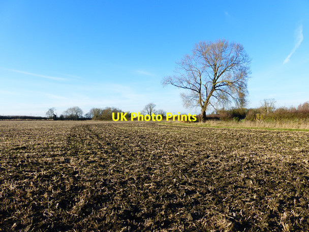 Photo 6"x4" Farmland, Kimble Bishopstone\/SP8010 c2014