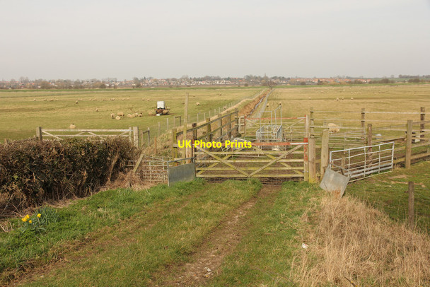 Photo 6"x4" The Longstongs Heighington\/TF0369 c2015