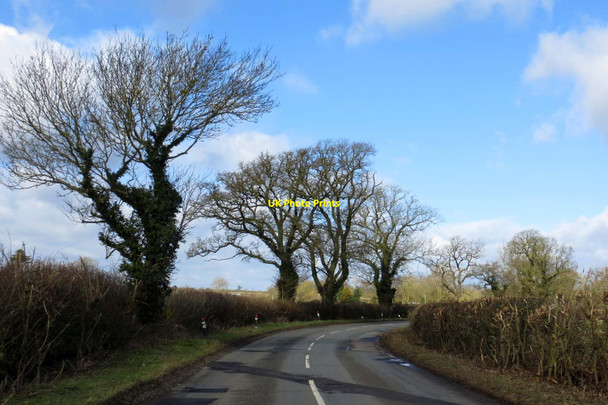 Photo 6"x4" The road to Gawcott Hillesden c2015