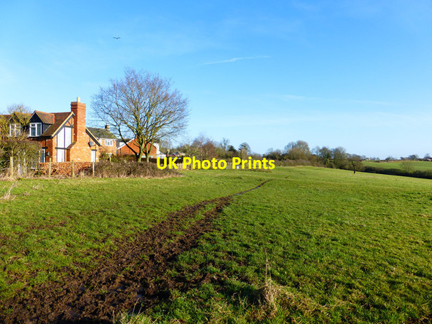 Photo 6"x4" Pasture, Dunton Dunton\/SP8224 c2015