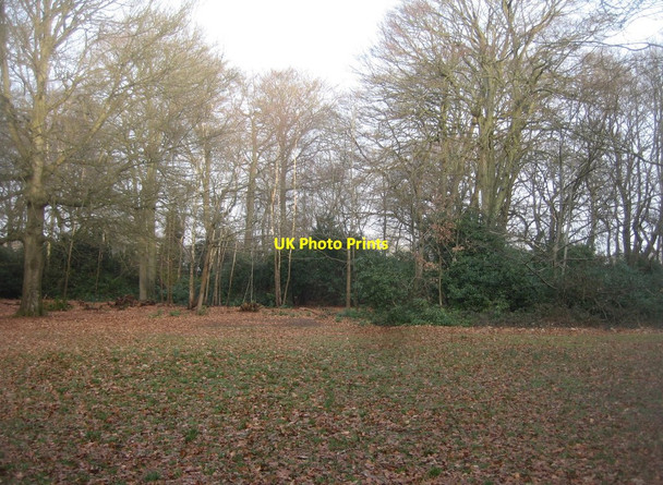 Photo 6"x4" Queen Elizabeth Park Farnborough\/SU8754 c2015 P1