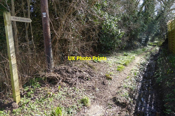 Photo 6"x4" The northern end of Little Cranmore Lane East Horsley c2015