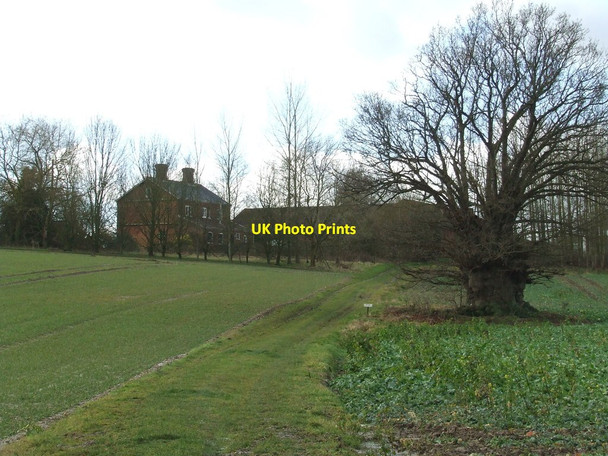 Photo 6"x4" Grove Farm Yoxford c2015