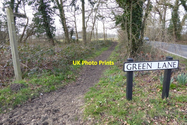 Photo 6"x4" Bridleway parallel with Ockham Road North Ockham\/TQ0756 c2015