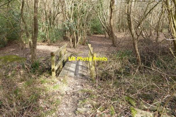 Photo 6"x4" Footbridge in wood Martyr's Green c2015