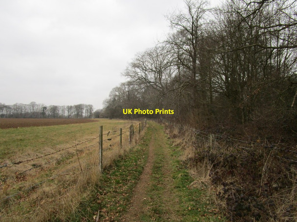 Photo 6"x4" Bridleway to Cottisford Hethe\/SP5929 c2015
