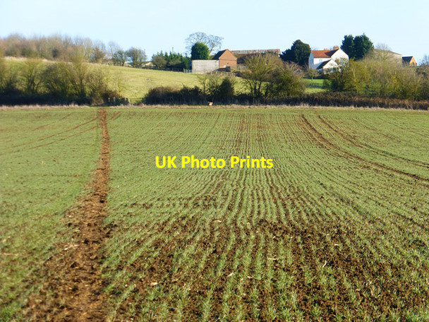 Photo 6"x4" Farmland, Aston Abbotts Aston Abbotts c2015