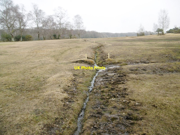 Photo 6"x4" Lyndhurst, ditch Custards c2015