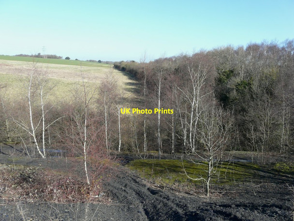 Photo 6"x4" Looking northeast from the spoil heap of the former Tilmanstone Colliery Elvington\/TR2750 c2015