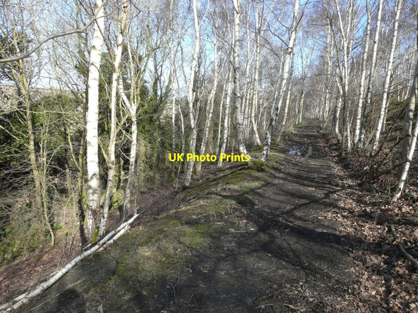 Photo 6"x4" Path beside an overgrown railway cutting Elvington\/TR2750 c2015