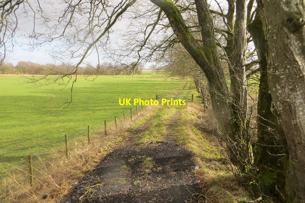 Photo 6"x4" Farm road near Parkgate Wester Parkgate c2015