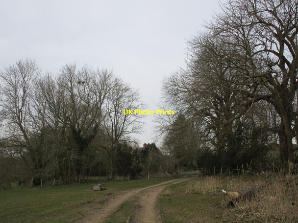 Photo 6"x4" Approaching Racton Park Farm Woodmancote\/SU7707 c2015