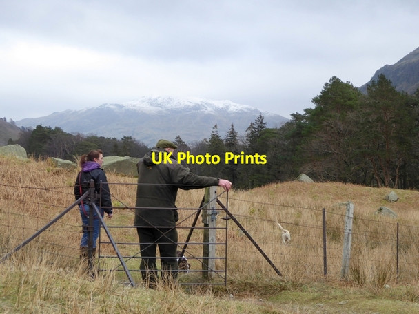 Photo 6"x4" Exercising the hounds Bridgend\/NY3914 c2015