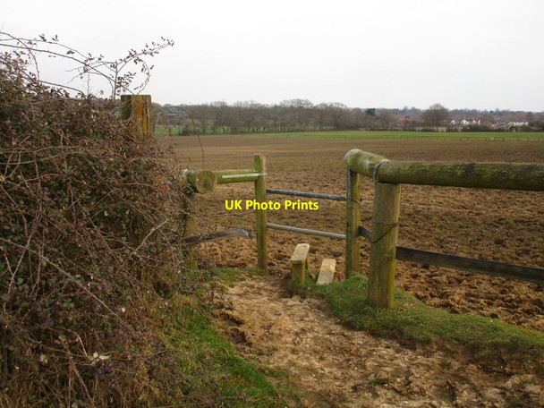 Photo 6"x4" Footpath to Westbourne Emsworth c2015