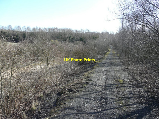 Photo 6"x4" Track leading to the spoil heap of the former Tilmanstone Colliery Elvington\/TR2750 c2015