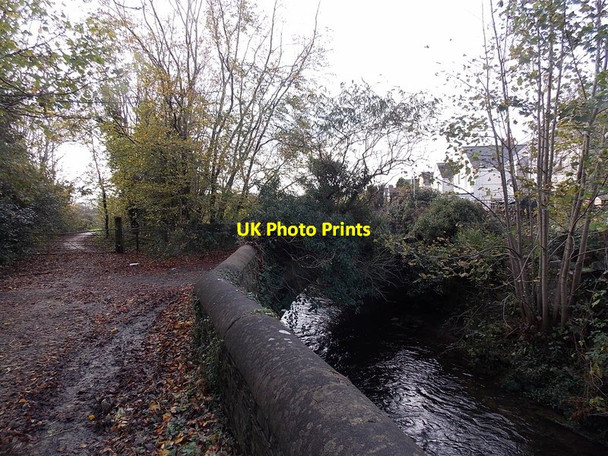 Photo 6"x4" Vegetation partially hides a river bridge, Pencoed Felindre\/SS9781 c2014