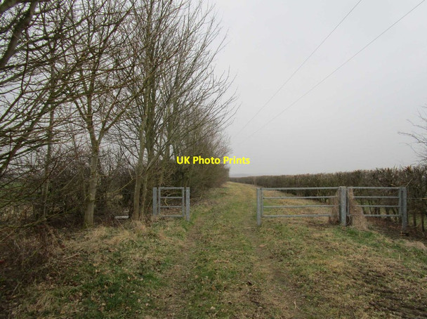Photo 6"x4" Mere Balk Lane Edlington c2015