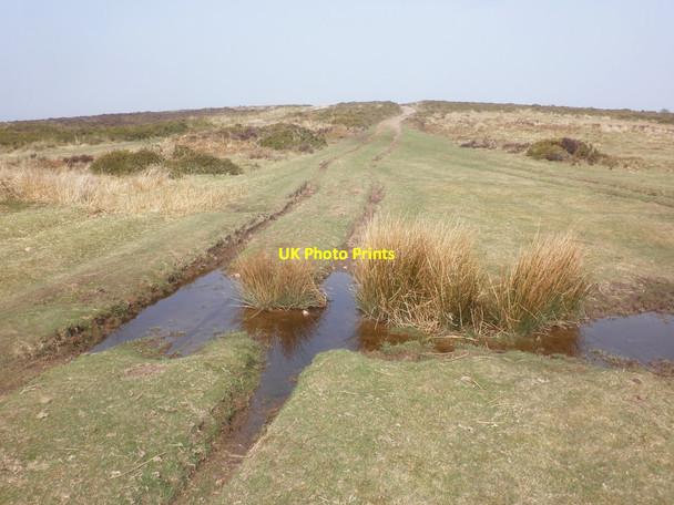 Photo 6"x4" Track to Higher Hare Knap Crowcombe c2015