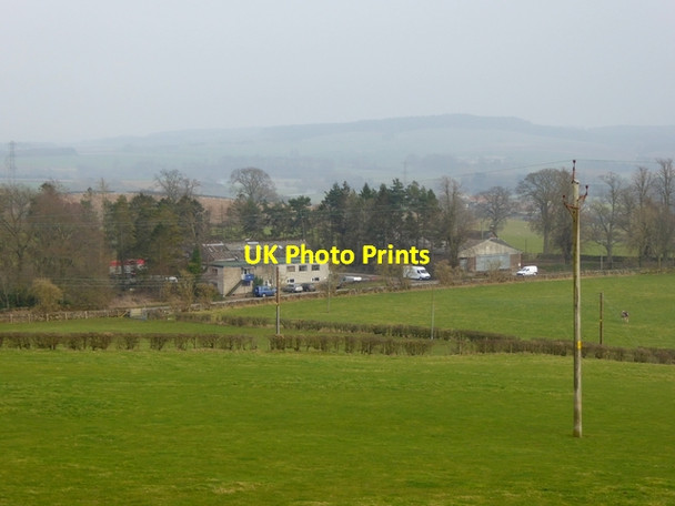 Photo 6"x4" Jay-box, Carleton Hill Penrith c2015