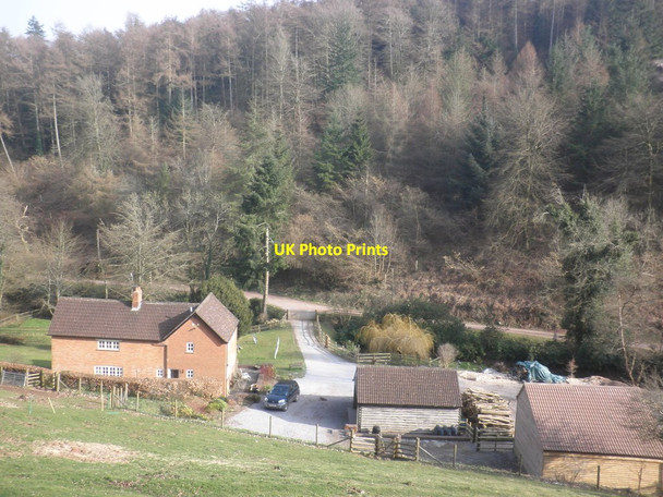 Photo 6"x4" Homestead in Cockercombe Bottom Adscombe c2015