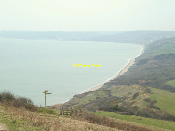 Photo 6"x4" Steep descent from Golden Cap looking West Chideock c2015